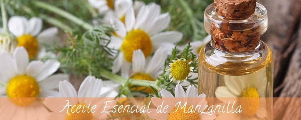 Aceite Esencial de Manzanilla: Todos los beneficios