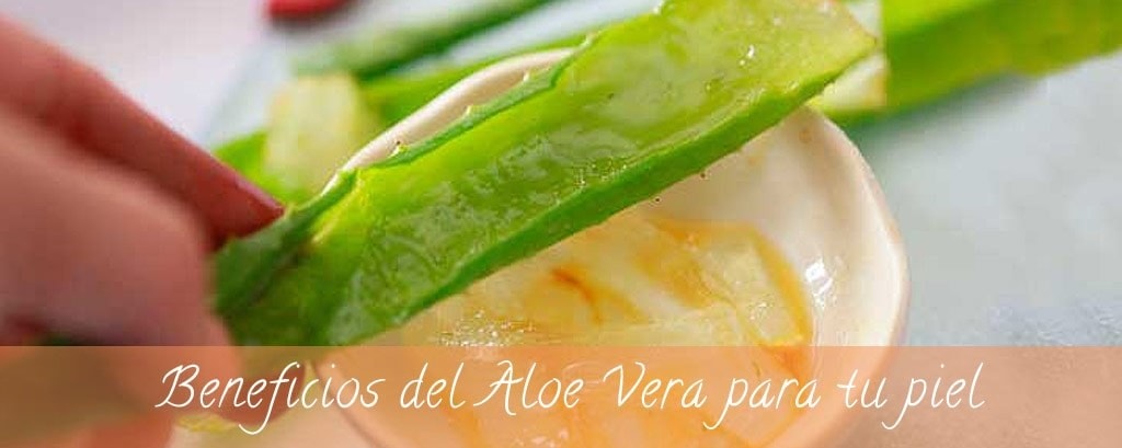 Beneficios del Aloe Vera para la piel de tu cara - Alpel