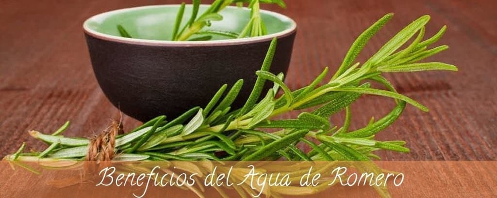 Beneficios del Agua de Romero para el Cabello en 🔝