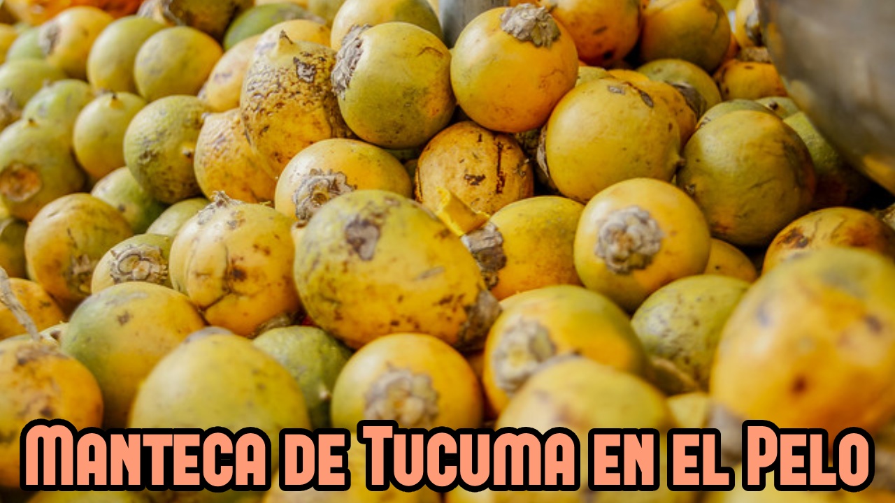 Manteca de Tucuma: El secreto de belleza natural