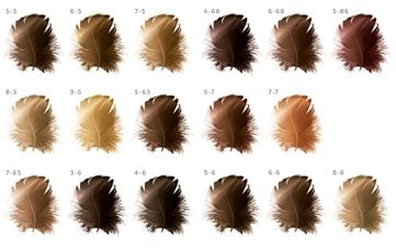 Colores Schwarzkopf IGORA SENEA Carta Color