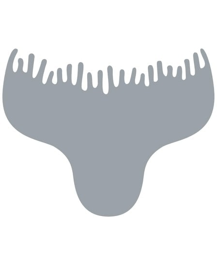 Comprar Ecobell Hairline Enhancer Plantilla Entradas online en la tienda Alpel Comprar Ecobell Hairline Enhancer Plantilla Entradas online en la tienda Alpel