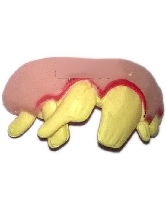 Comprar Fx Caracterización Dentadura 08 online en la tienda Alpel Comprar Fx Caracterización Dentadura 08 online en la tienda Alpel
