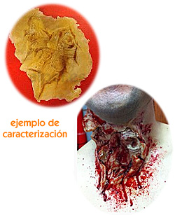 Comprar Fx Caracterización Herida 23 online en la tienda Alpel Comprar Fx Caracterización Herida 23 online en la tienda Alpel