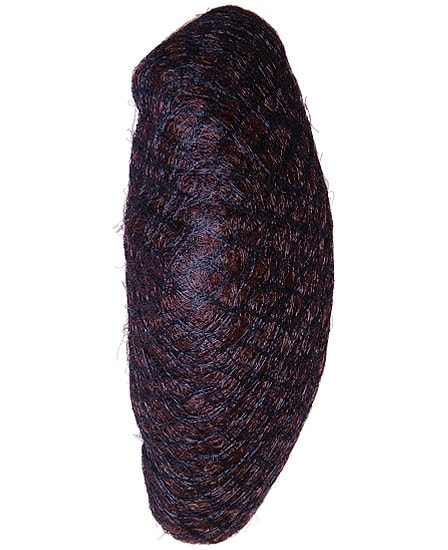 Comprar Relleno Peinado Moño Marron online en la tienda Alpel Comprar Relleno Peinado Moño Marron online en la tienda Alpel