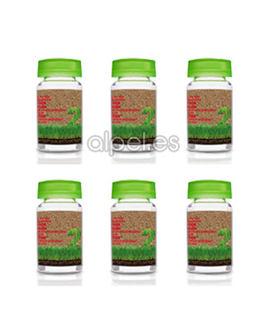 Comprar Salerm Biokera Natura Anticaida Locion Ampollas 6 X 10 ml online en la tienda Alpel Comprar Salerm Biokera Natura Anticaida Locion Ampollas 6 X 10 ml online en la tienda Alpel