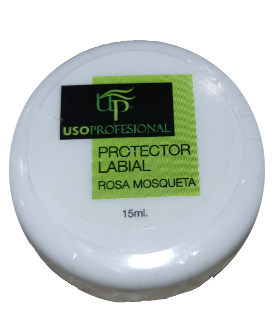 Comprar Up Protector Labial Rosa Mosqueta 15 ml online en la tienda Alpel