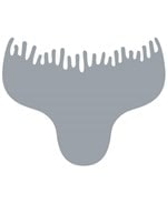 Comprar Ecobell Hairline Enhancer Plantilla Entradas online en la tienda Alpel