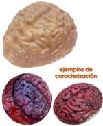Comprar Fx Caracterización Cerebro online en la tienda Alpel