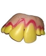 Comprar Fx Caracterización Dentadura 06 online en la tienda Alpel Comprar Fx Caracterización Dentadura 06 online en la tienda Alpel