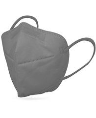 Mascarilla FFP2 Gris - Comprar online Disponible en Stock desde España Mascarilla FFP2 Gris - Comprar online Disponible en Stock desde España