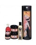 Comprar Set Erótico Shunga Carnal Pleasure Colletion online en la tienda Alpel Comprar Set Erótico Shunga Carnal Pleasure Colletion online en la tienda Alpel