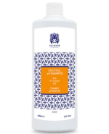 Comprar online Valquer Champú Ph Neutro 1000 ml en la tienda alpel.es - Peluquería y Maquillaje